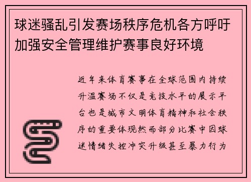 球迷骚乱引发赛场秩序危机各方呼吁加强安全管理维护赛事良好环境